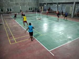 lap. badminton